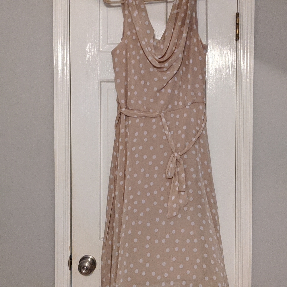 Polka Dot Dress